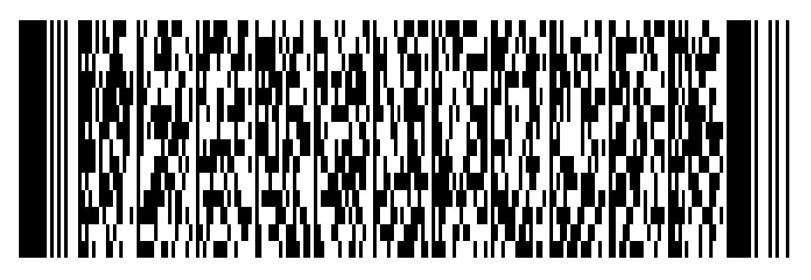 Barcode za placanje samo kod (002